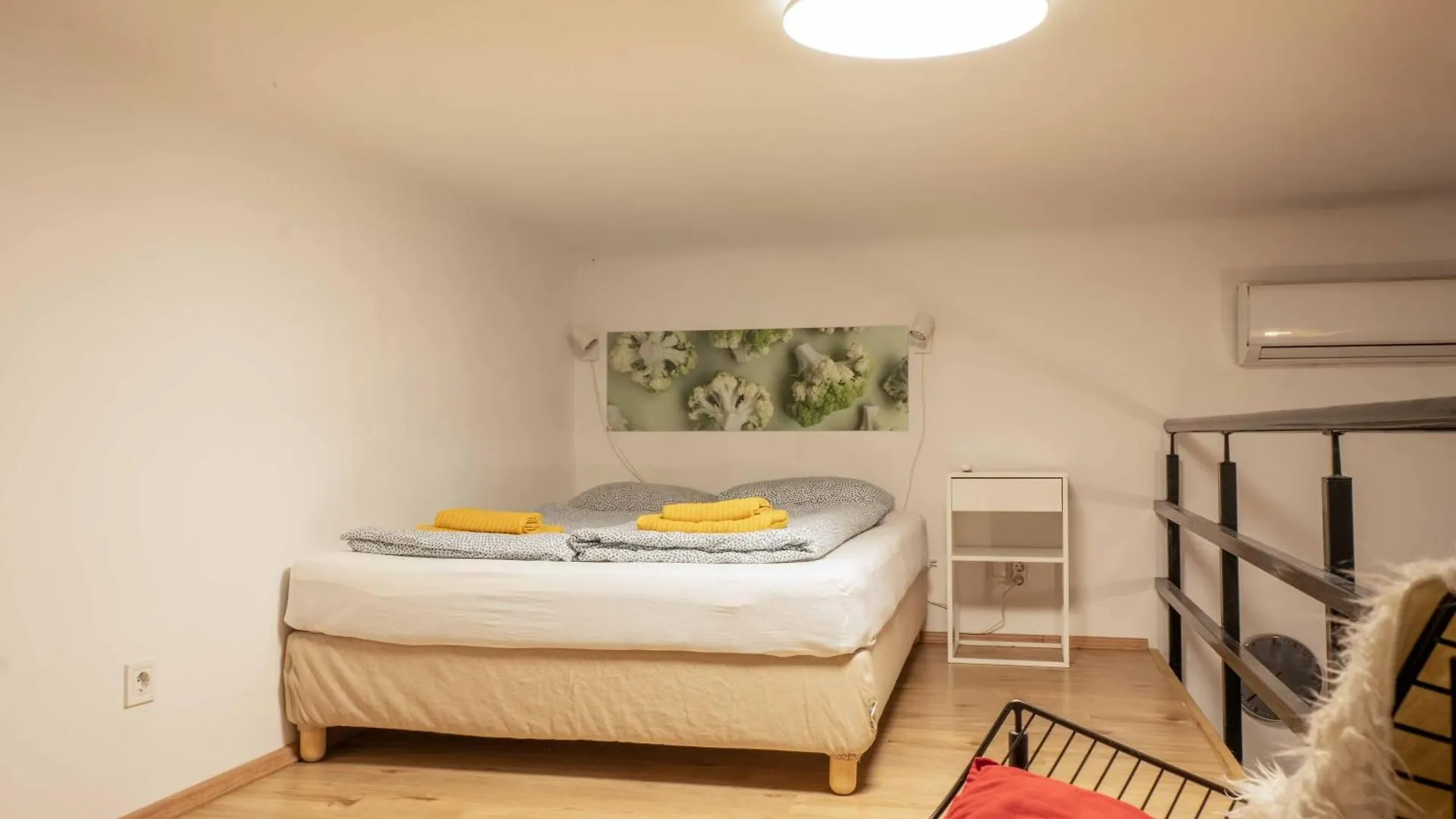 Apartment Cosy Studio In Terezvaros W41 Green Budapest Hungary